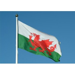 Drapeau national du Pays de Galles